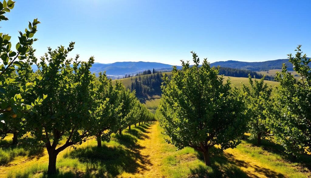 Nocciole del Piemonte